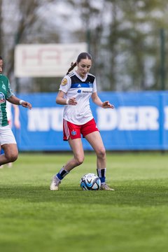 Bild 203 - wBJ Hamburger SV - SV Werder Bremen : Ergebnis : 1:3